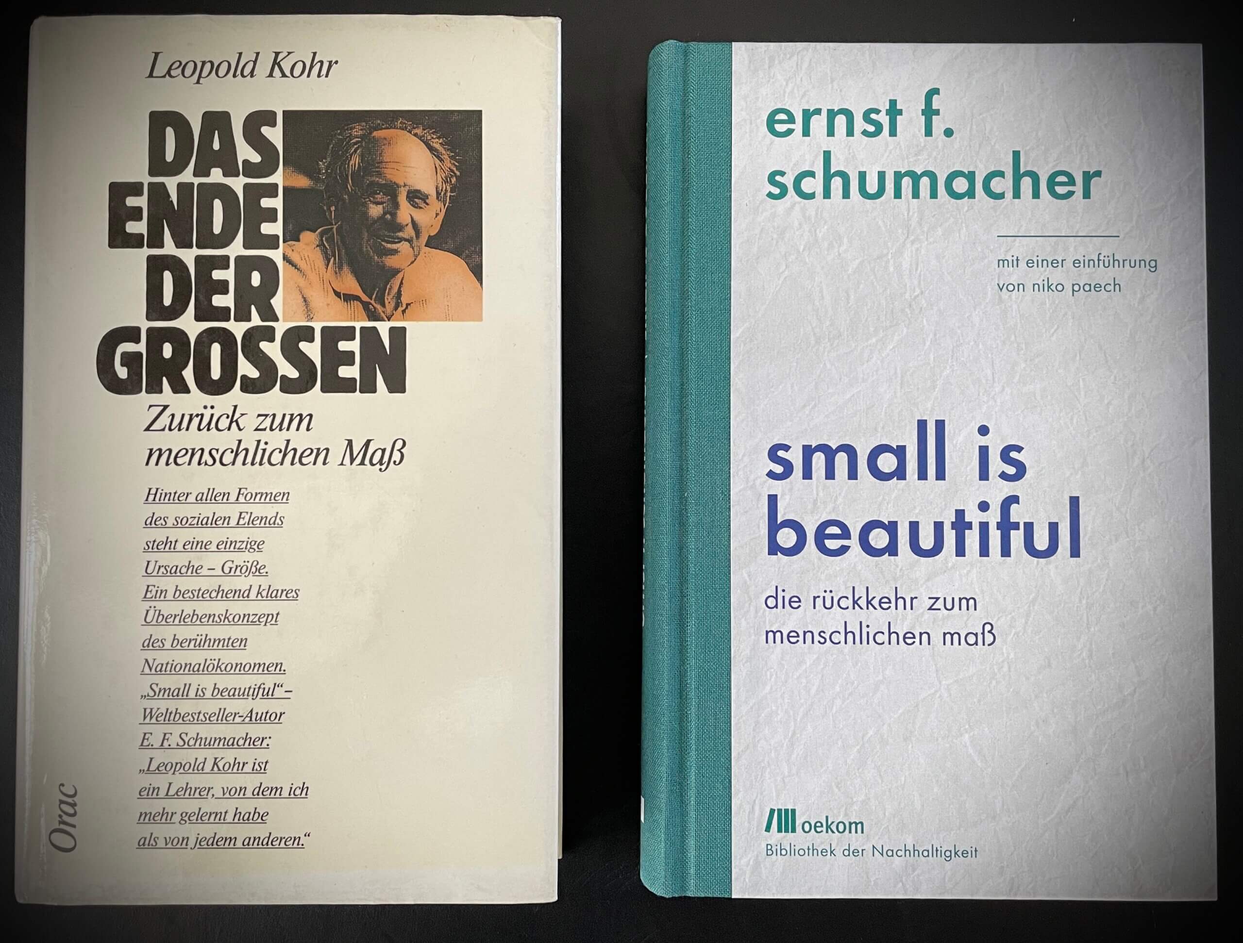 Cover Das Ende der Großen und Small is beautiful